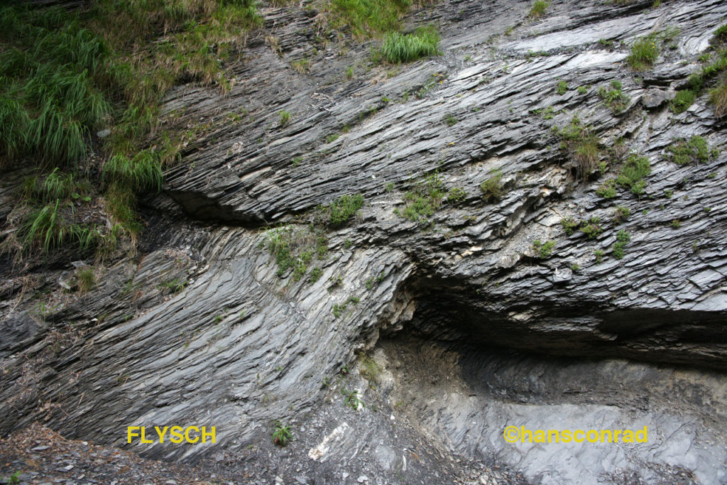 Tonsteinlagen im Flysch