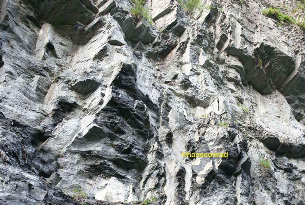 Sandsteine im Flysch