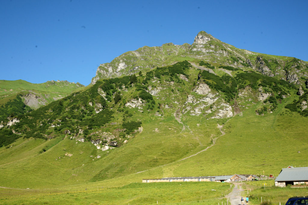 Grüner Verrucano Obersiez/Ristenpass