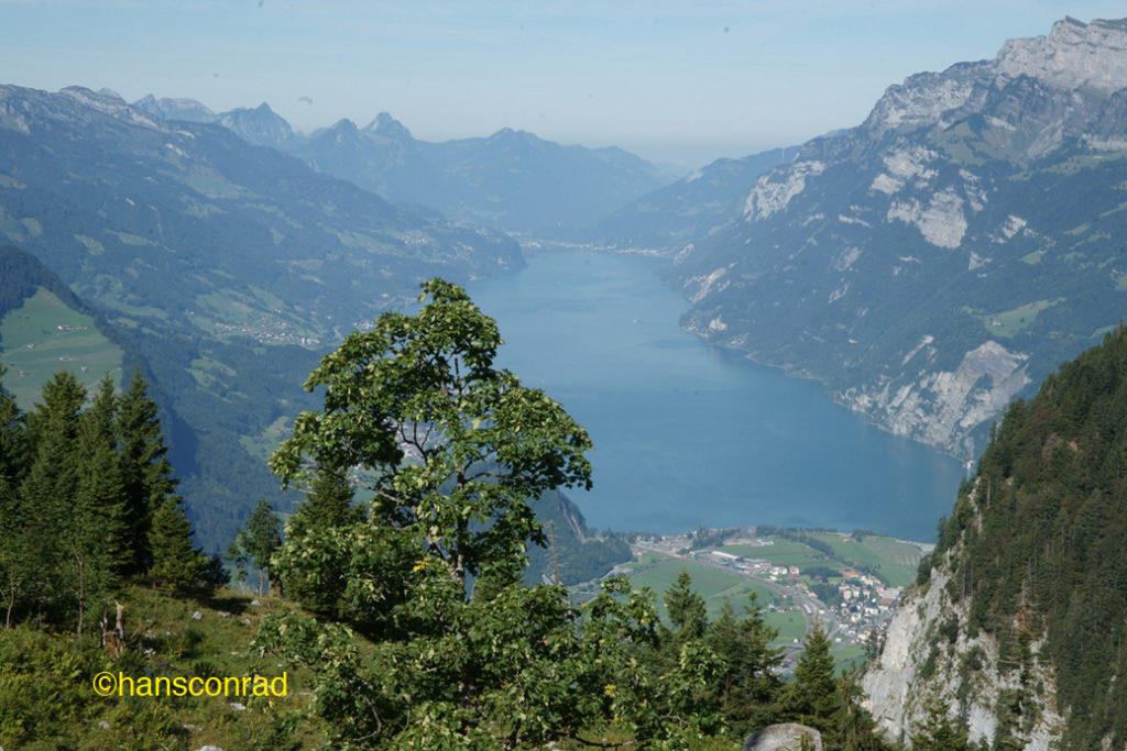 Walensee vom Castilun (Palfriestour)